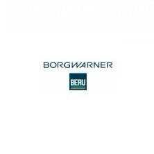 BorgWarner (BERU)